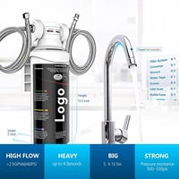 Filtre à eau alcaline minérale Filtres à eau de haute qualité pour une expérience de consommation optimale