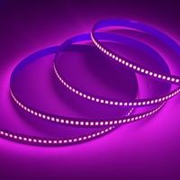 Nouvelle Offre 2026 : Bande LED SMD2835 12V/24V 14W 240 LED Blanches, 240 LED/m, 10mm Haute Densité, Adhésive, Coupable, IP20, Cuivre