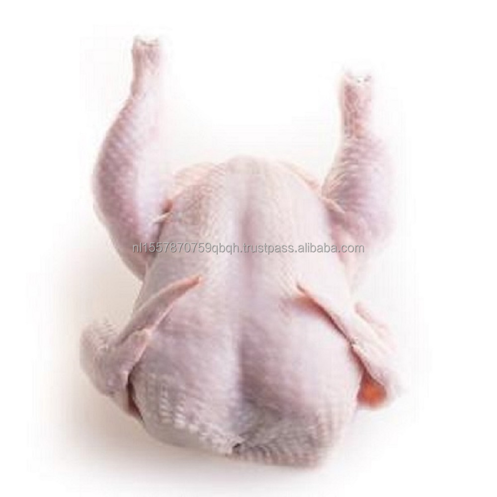 Whole Chicken Frozen Halal Brazil Nutritious Fresh Chicken Whole 800~2200 Grams Body Well Dressed and Cleaned Frozen Chicken