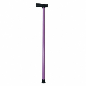Bâton de marche en acier inoxydable avec poignée en T, léger, pour la randonnée en plein air, pour hommes et femmes - Product Image 3