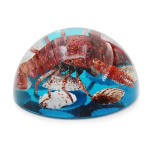 Poids-papier artisanal en résine de homard, écrevisse et coquillage, décoration de bureau à domicile, souvenir, cadeau d'affaires haut de gamme - Product Image 4