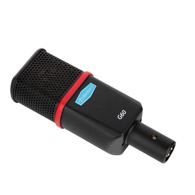Large Diaphragm Condenser Recording Microphone for Outdoor Use with 3-Month Warranty and No Data Cable Place of Origin AD