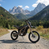 Moto électrique Surron Ultra Bee 2025 tout-terrain 21KW 74V 60AH – Surron pas cher à vendre