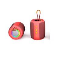 Haut-parleur Bluetooth sans fil avec batterie amovible, audio TWS, lumière RGB, carte TF, AUX, appels Bluetooth, 8W