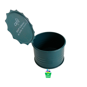 Mini pot en métal galvanisé avec couvercle en métal cactus succulent bonsaï pour fleurs et jardin mini conteneur pour plantes avec couvercle en métal - Product Image 4