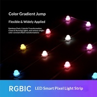 Guirlandes lumineuses décoratives de Noël intelligentes à LED à pixels changeants de couleur, étanches IP67, DC 24V, télécommandées, pour les avant-toits et les cours