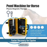 Appareil de thérapie magnétique PEMF pour la santé des chevaux, dispositif de réadaptation vétérinaire pour la relaxation musculaire et la guérison des blessures