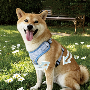 フロントクリップアタッチメントエスケーププルーフソフトコーデュロイ犬用ハーネス小型犬用中型大型パーソナライズロゴ高速配送 - Product Image 1