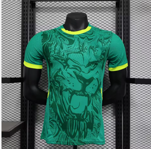 2526 Maillot de football du Sénégal en gros, personnalisable avec nom, maillot d'entraînement, ensemble de football africain du Sénégal - Product Image 1
