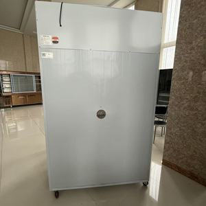 Congélateurs commerciaux à refroidissement stable, vitrines réfrigérées spacieuses avec porte vitrée pour hôtels, bars et présentation de boissons - Product Image 4