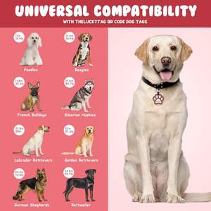 Schlussverkauf Hunde-Tags mit QR-Code für Hunde Katzenhalsband - Silikon-ID-Tag für Haustier - Product Image 6