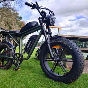 Bicicleta Eléctrica Todoterreno de 250W con Neumáticos Gruesos de 20 Pulgadas, Doble Batería, 25 km/h, Frenos Hidráulicos, Envío Directo desde Almacén en la UE, OEM - Product Image 1