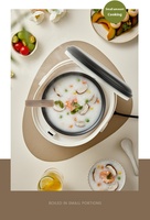 Fabricant de cuiseurs à riz de 2,5 L en Chine, cuiseur à riz numérique automatique professionnel OEM, cuiseur intelligent
