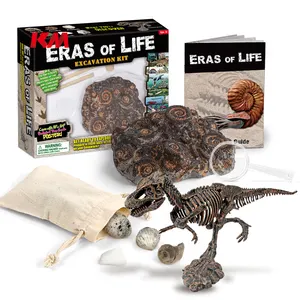 Kit de excavación de fósil de orejas de vida para niños, juguete para excavar, fósil que contiene gasterópodes, ammonites, pizarra, mármol, granito