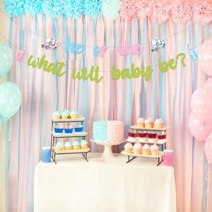 Striscione 'Lui o Lei? Cosa sarà il bambino?' per Golf, Decorazioni per Gender Reveal, Sfondo Fotografico Rosa Blu per Gender Reveal a Tema Golf - Product Image 3