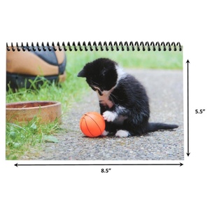 Papier de caisse Kitten, simple couche, sans carbone, impression numérique, noir - Product Image 4