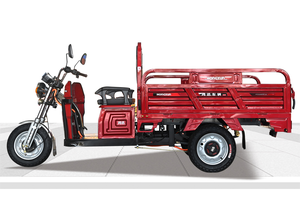 รถสามล้อไฟฟ้าสำหรับงานหนัก - Product Image 2