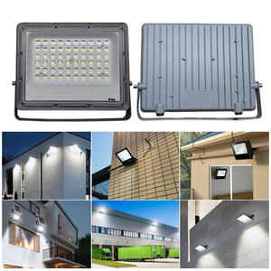 Projecteur LED de la série Ant Generation, corps en aluminium IP67, pour utilisation en jardin, variantes 10W/20W/30W/50W/100W/150W - Product Image 5