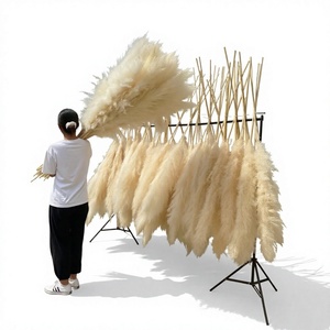 Pampas Beige ORIGINALES, Tallos Florales Artificiales, Flores Secas para Decoración de Bodas, Hogar y Fiestas - Product Image 3