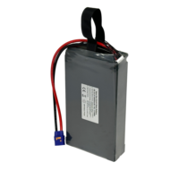 Batterie solide 420Wh/Kg 6S 22.2V 80000mAh 81000mAh Lipo QS8S pour drone de cartographie et de transport