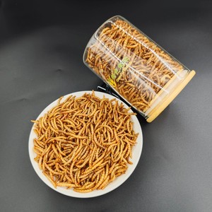 100%天然昆虫タンパク質乾燥ミールワーム鳥の餌高タンパク質乾燥ミールワーム - Product Image 4