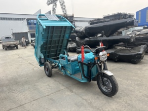Triciclo Elettrico in Acciaio Motorizzato, <span class=keywords><strong>Motocicletta</strong></span> <span class=keywords><strong>a</strong></span> Tre <span class=keywords><strong>Ruote</strong></span> per Trasporto Merci, Capacità per 6 Persone, Carrozzeria Aperta, >1000W - Product Image 4
