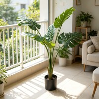 Feuillage orné à motifs de carapace de tortue préservée, aux tons terreux marbrés, pour accentuer un terrarium exotique.