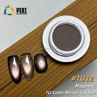 Poudre magnétique SH Super Nice effet chrome brillant, pigment aurora œil de chat cosmétique inorganique pour ongles, cuir et revêtements, gel de nail art