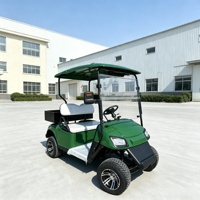 Voiturette de golf électrique 2 places 60V Lithium, buggy de golf 4KW à moteur haute puissance, mini-voiture pour adultes