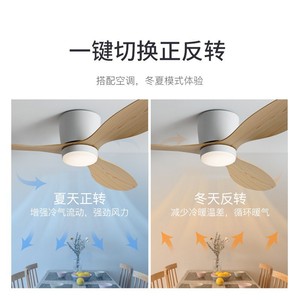 Nordic <b>Ceiling</b> <b>Fan</b> Light Fixed Blade LED Living Room Study 50000 Hours 5 Year Warranty - Product Image 5
