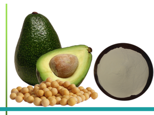 공급 고품질 ASU 분말 아보카도 대두 unsaponifiables 50% 식물 추출 분말 - Product Image 3