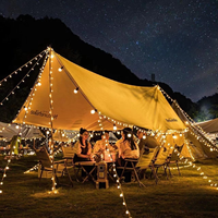 Guirlande solaire à LED avec ampoules rétro G50 pour l'extérieur, le camping et le jardin. Éclairage d'ambiance.