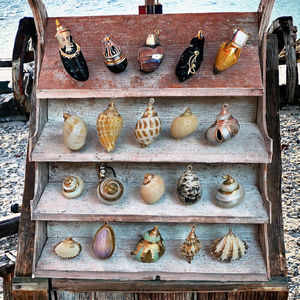 Colgante de Concha Marina Natural, Perla Madre, Forma Irregular, Color Natural - Product Image 3