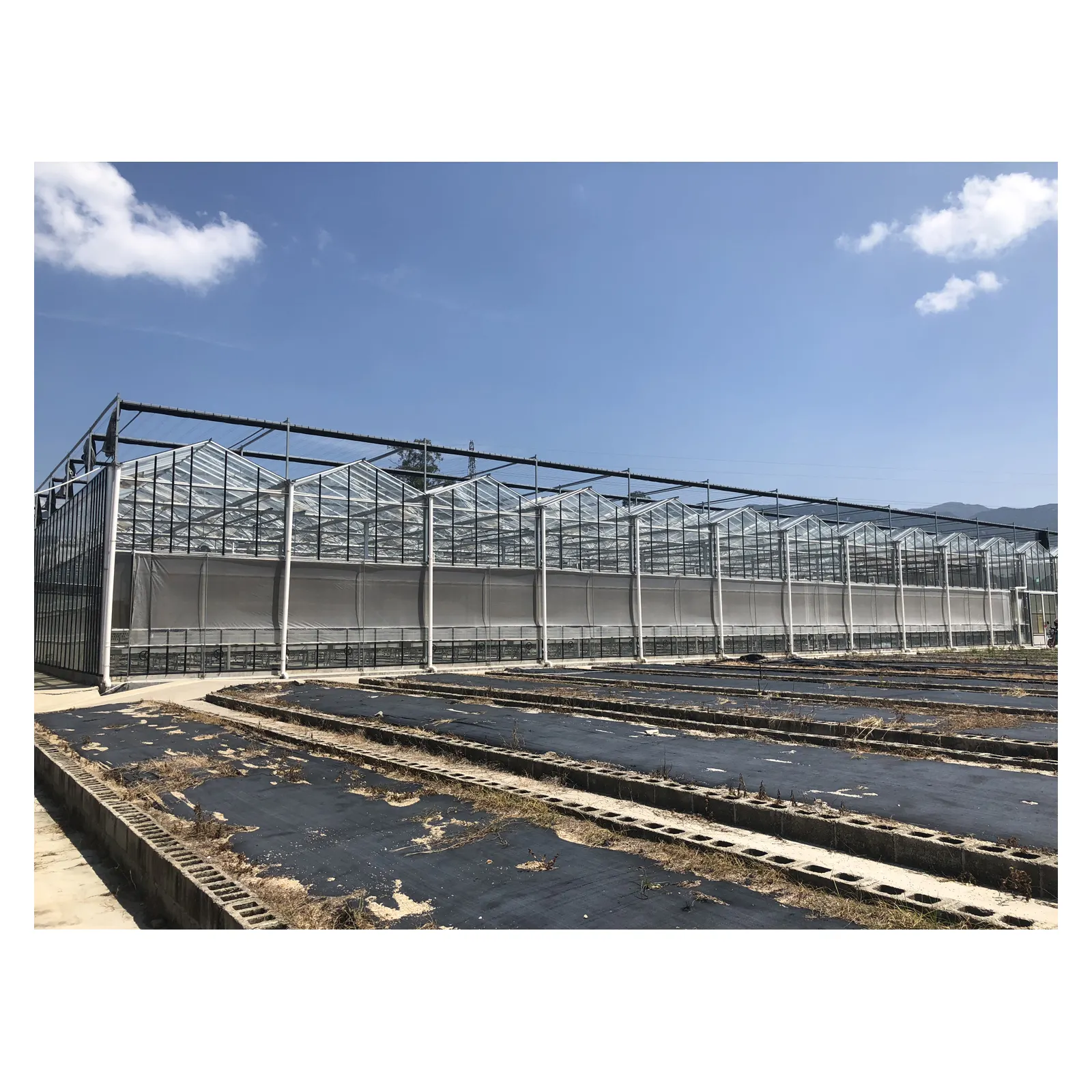 flood tray ebb and flow tray wholesale price agricultural glass greenhouse