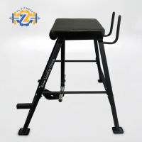 YL-1082 Banc d'hyperextension inversée en acier de haute qualité pour usage commercial, machine d'entraînement de la force des jambes