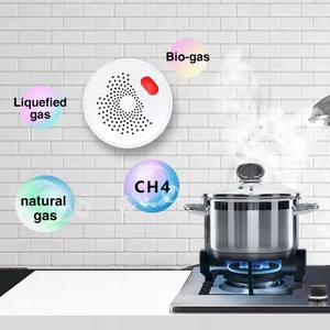 Mutfak pişirme için Zigbee akıllı ev <span class=keywords><strong>IPG</strong></span> gaz kaçak dedektörü doğal gaz Alarm dedektörü gaz kaçak dedektörü - Product Image 2