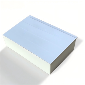 Cấp thực phẩm lạnh lưu trữ tường và mái nhà Bảng điều chỉnh, PU bọt lõi, sạch sẽ và vệ sinh - Product Image 6