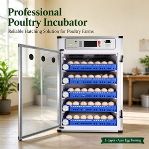 Incubateur solaire pour œufs Sensible Agriculture, incubateur automatique pour œufs, machine d'éclosion de poulets, incubateur pour poulets - Product Image 1