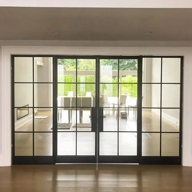 China professional factory custom-made good quality tempered glass black steel and glass door