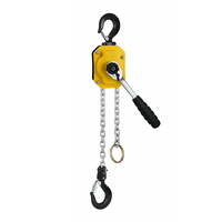 Palans à chaîne manuels de petite taille, mini palan à levier manuel, palan à chaîne à levier de 0,5 tonne