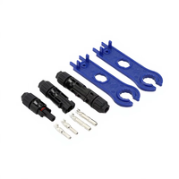 Paire de clés ABS pour le démontage des connecteurs d'alimentation automobiles 10A 1000-1500V