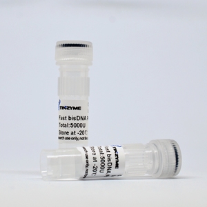 Набор для быстрого зонда Tinzyme bisDNA - Product Image 3