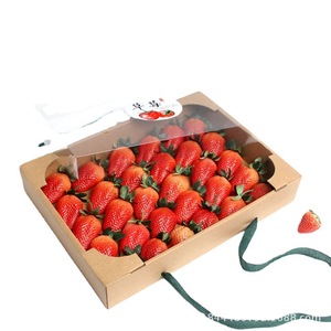 IMEE logotipo personalizado impreso bandeja <span class=keywords><strong>de</strong></span> embalaje decorativa verduras cereza fresa tomate embalaje caja <span class=keywords><strong>de</strong></span> frutas con tapa transparente - Product Image 3