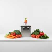 Multifunctionele automatische slimme elektrische commerciële groentesnijder radijs/aardappel snij-/schaafmachine SUS 201 roestvrij staal