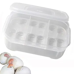 Incubateur à 12 œufs, bac en plastique pour élever des reptiles, boîte pour l'éclosion des œufs, Mini incubateur