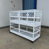 Cage mobile de haute qualité, moderne et classique, en verre massif, avec cadre en acier inoxydable et plateau métallique durable, pour l'élevage des cochons d'Inde