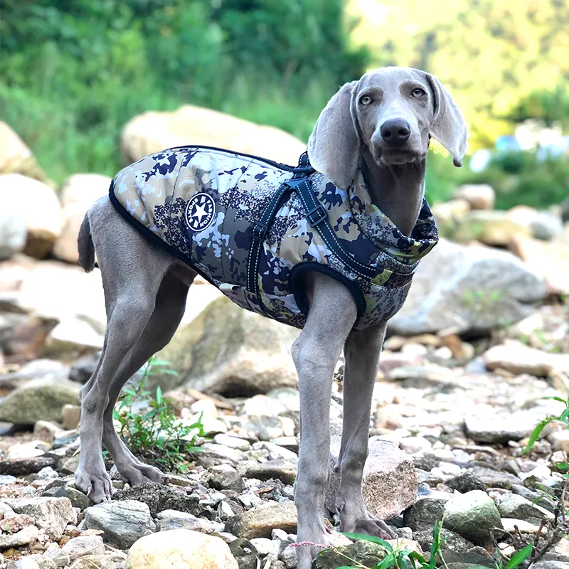 Ropa para mascotas personalizada, ropa cálida de diseñador para gatos, vendedores, chaqueta de moda a prueba de viento, chaleco con Logo, gabardina de camuflaje para perros de invierno