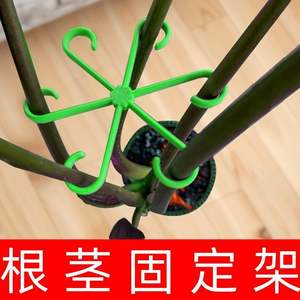 Support de plante en plastique vert Monstera pour jardinage intérieur et plantes d'intérieur - Product Image 5