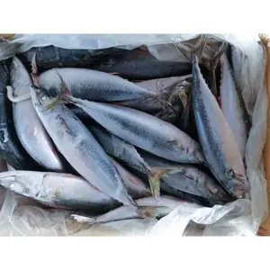 100-200g 200-300g 300-400g 400-600g 500-700g Frozen Mackerel Fish Prices Sea Frozen Pacific Mackerel Fish Price