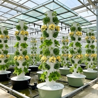 Système de culture vertical aéroponique et hydroponique en tour pour l'agriculture commerciale avec pompe et éclairage LED, facile à installer pour les cultures à feuilles.